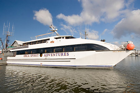 Orca Spirit