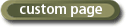 View Custom Page